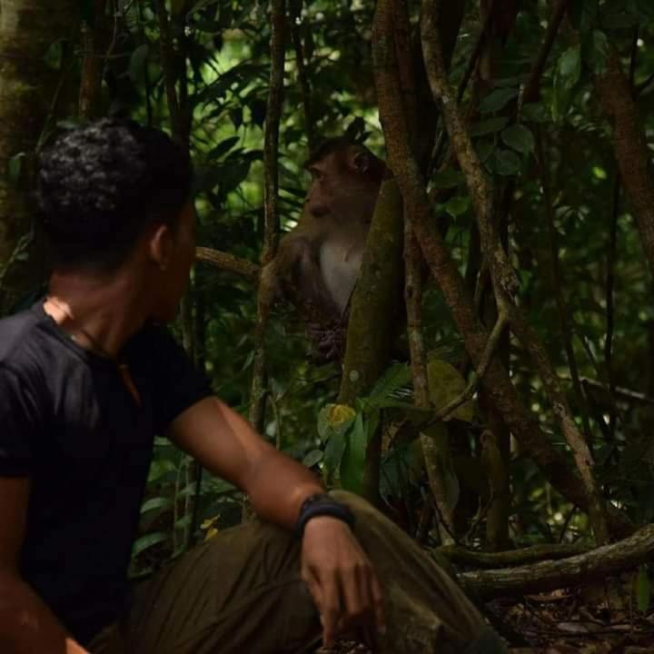 Pongo Guest House & Jungle Trekking Bukit Lawang Exterior photo